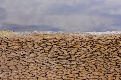Sečoveljske soline - tekstura narave.