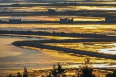 Sečoveljske soline - prebujanje jutra.