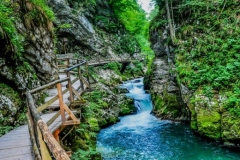 Iški Vintgar - spoštljivo si je tu človek utrl pot v naravo.