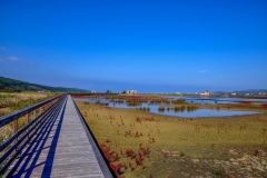 Sečoveljske soline v jesenskih barvah.