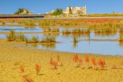 Sečoveljske soline, odete v rdečo jesensko barvo.