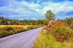 Kras - tu začutiš tisto divjo prvobitnost kraške zemlje.