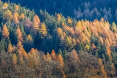 Žarijo v jesenskem večernem soncu gore nad Jezerskim.