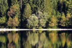 Ob Bohinjskem jezeru.